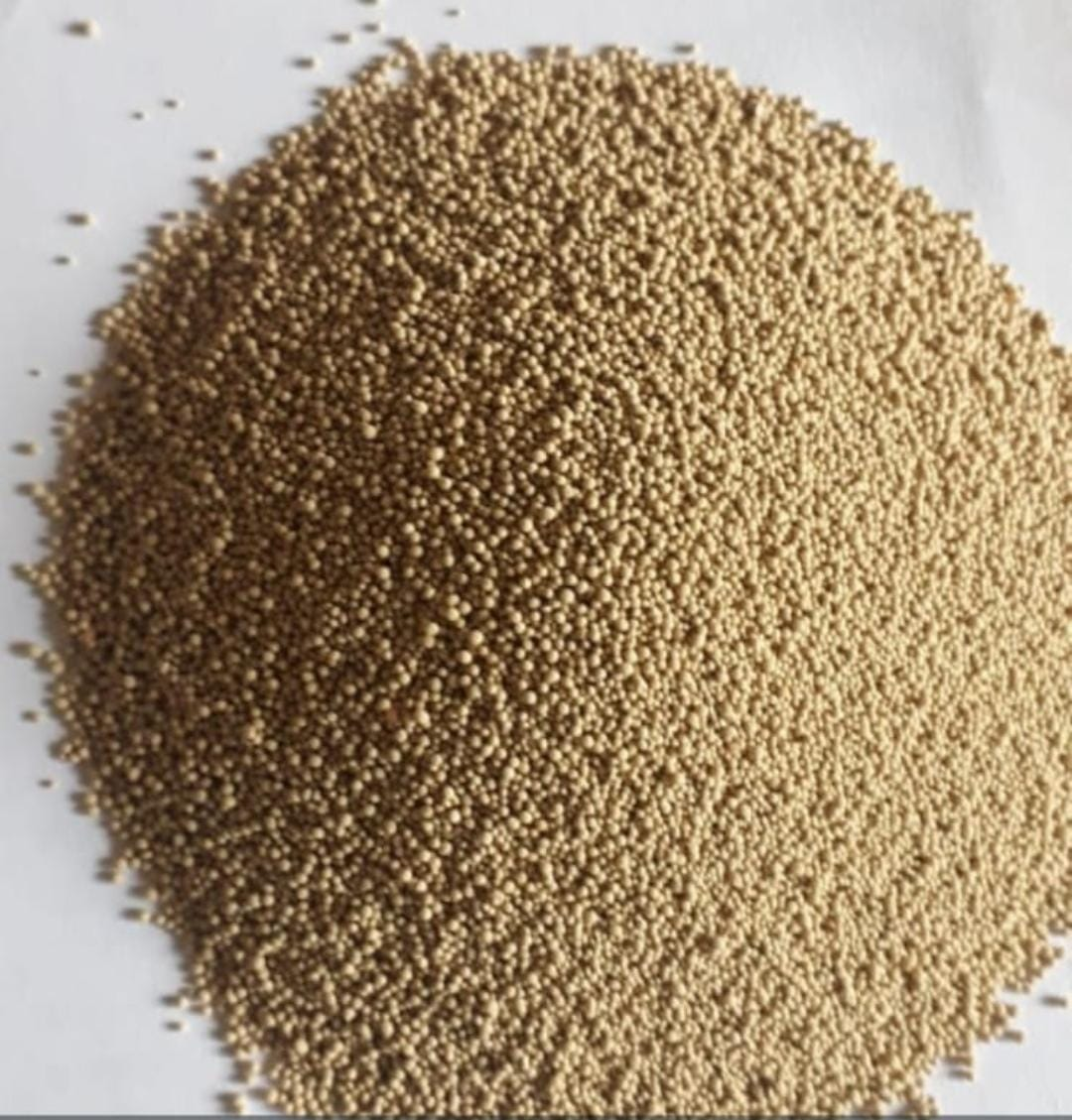 Salinomycin 12% granules — tan poultry feed coccidiostat additive